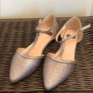 Sparkly Silver Fancy Flat